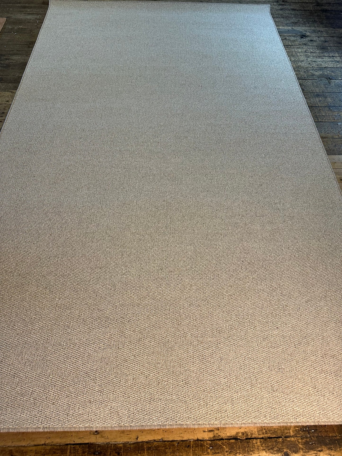 Oatcake 100% wool rug 210cm x 347cm