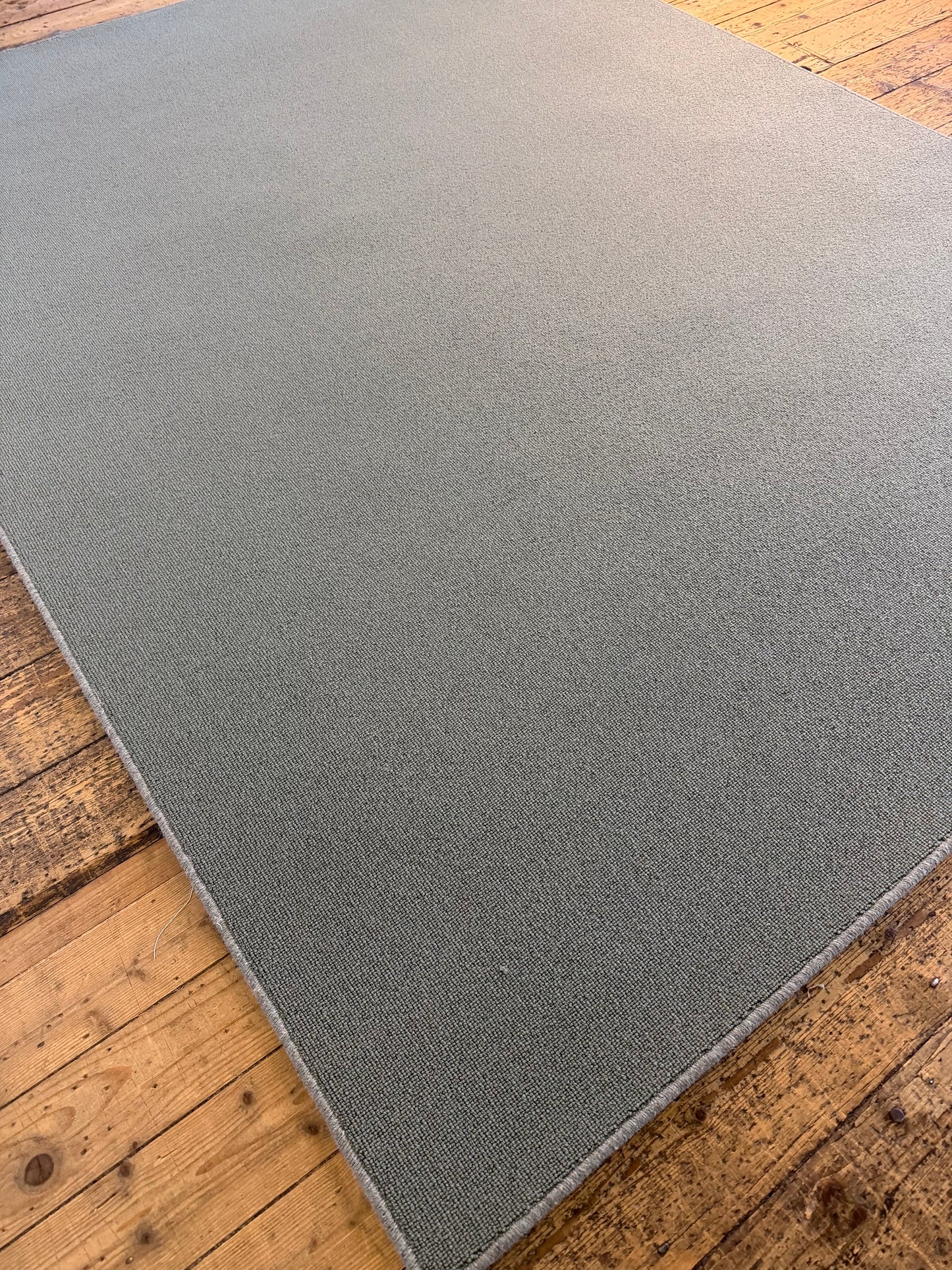 Turtle 100% wool rug 200cm x 270cm