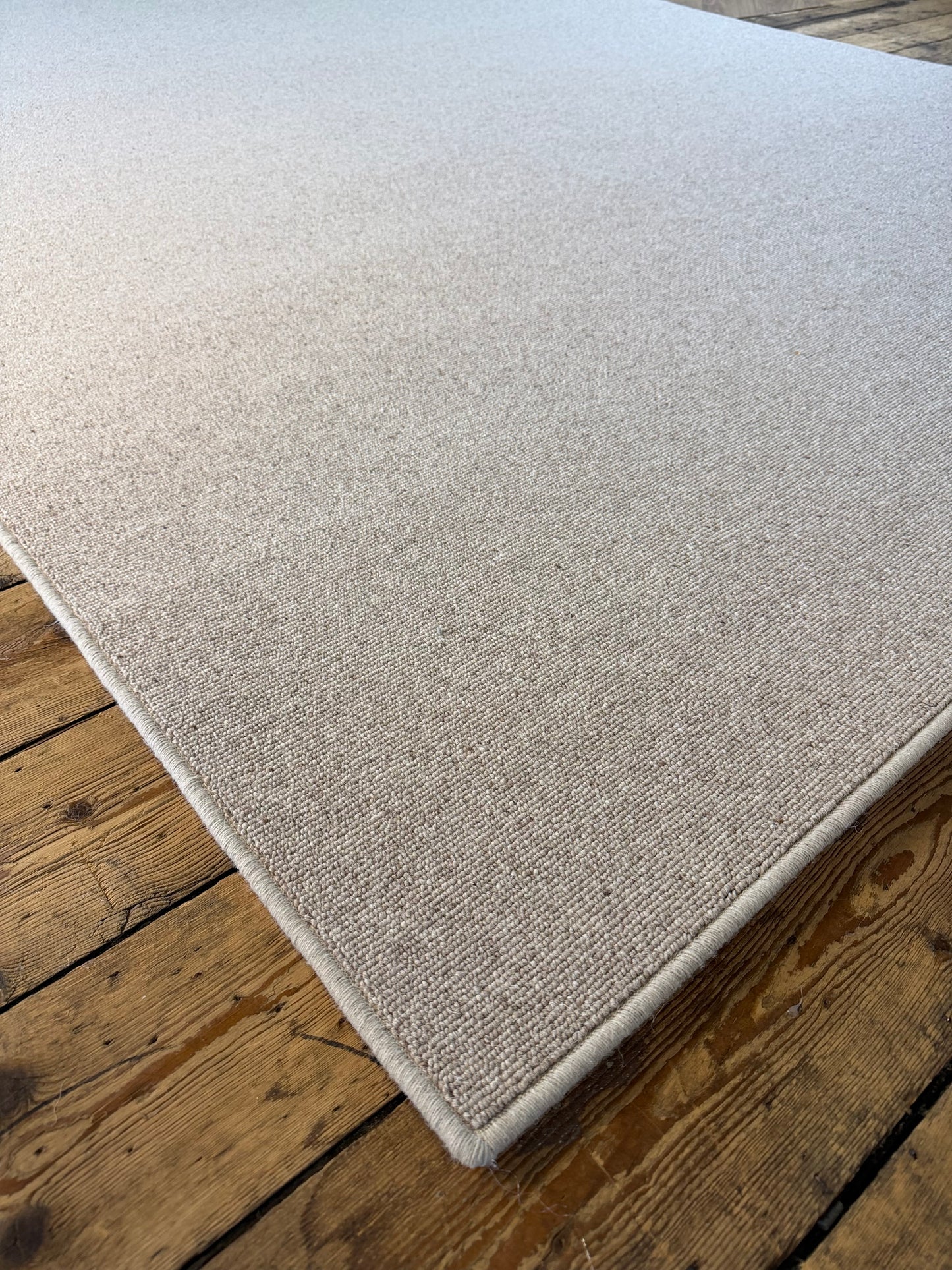 Biscotti 100% wool rug 220cm x 320cm