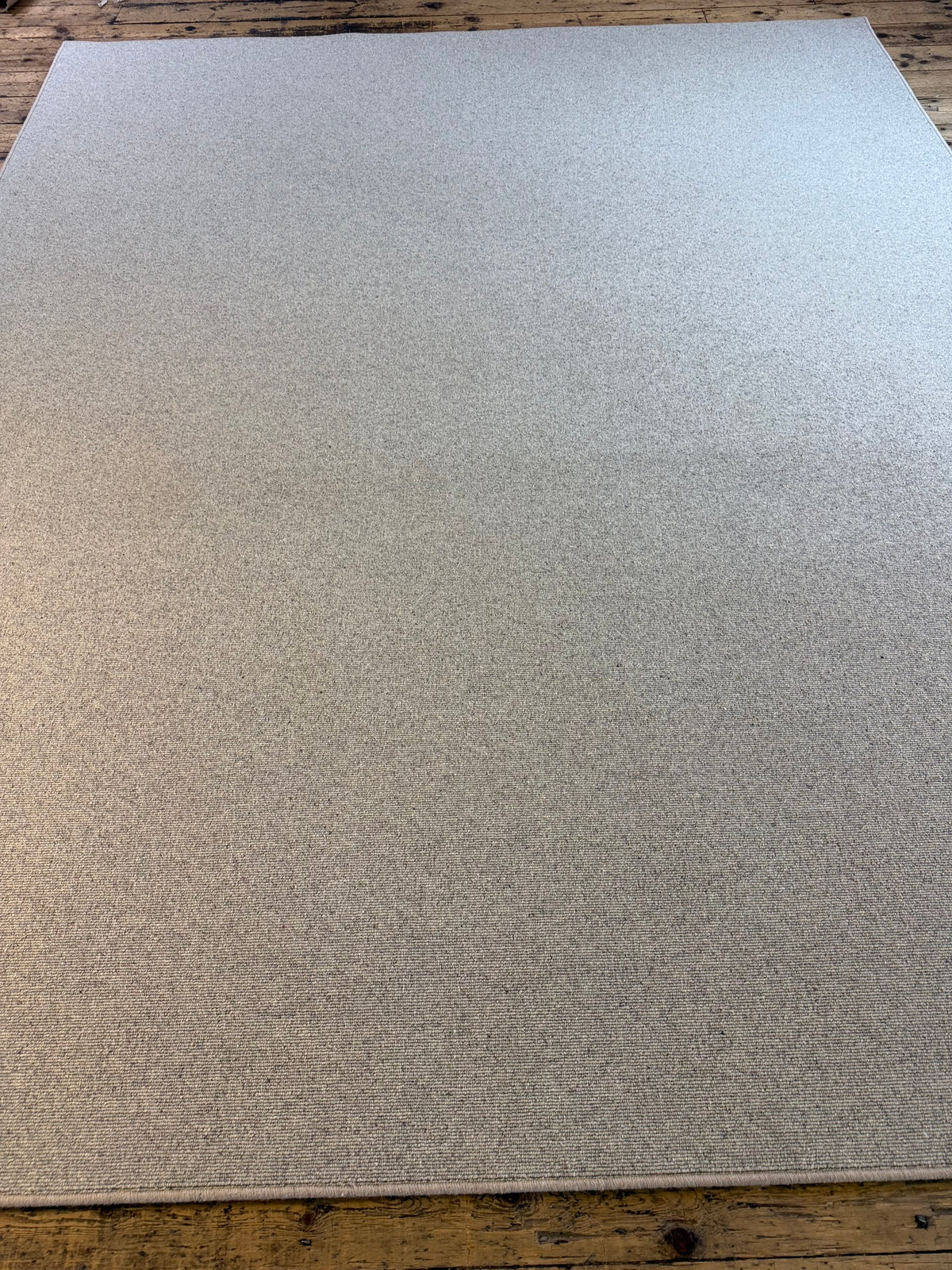 Bone 100% wool rug 265cm x 327cm