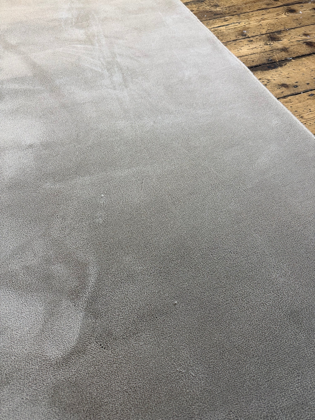Mushroom silk 100% polypropylene rug 260cm x 360cm