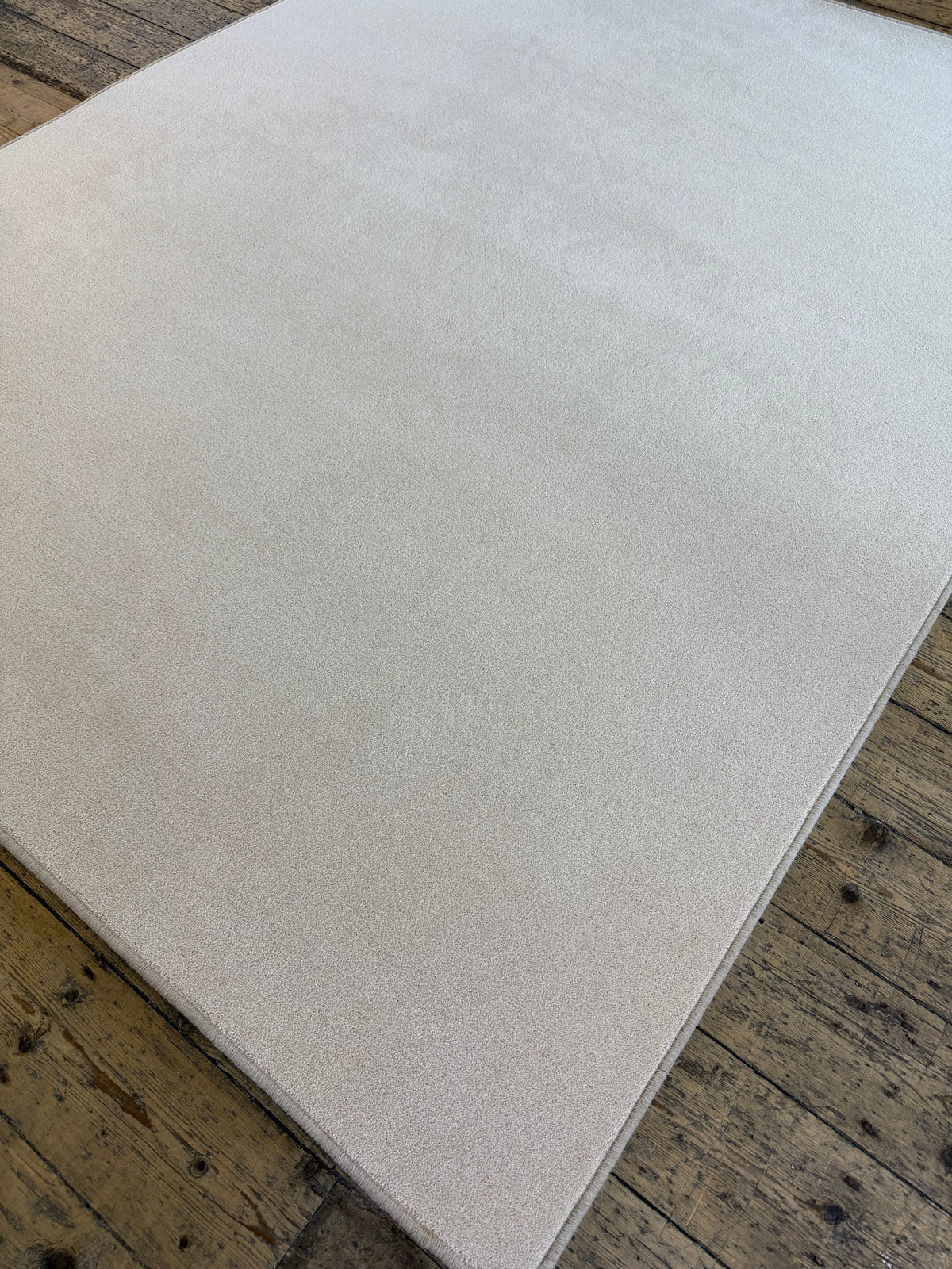 Shell 80/20 wool twist rug 200cm x 247cm