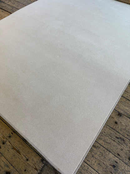 Shell 80/20 wool twist rug 200cm x 247cm