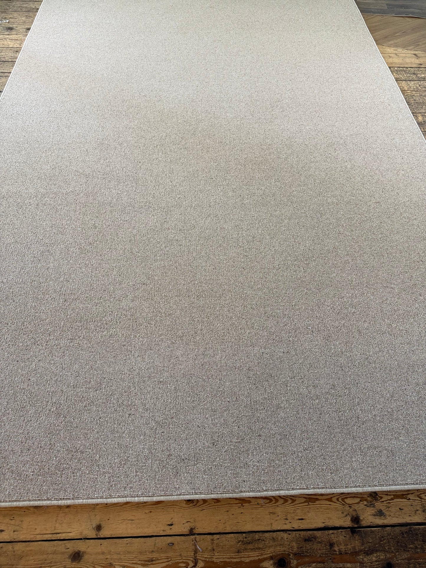 Biscotti 100% wool rug 230cm x 374cm