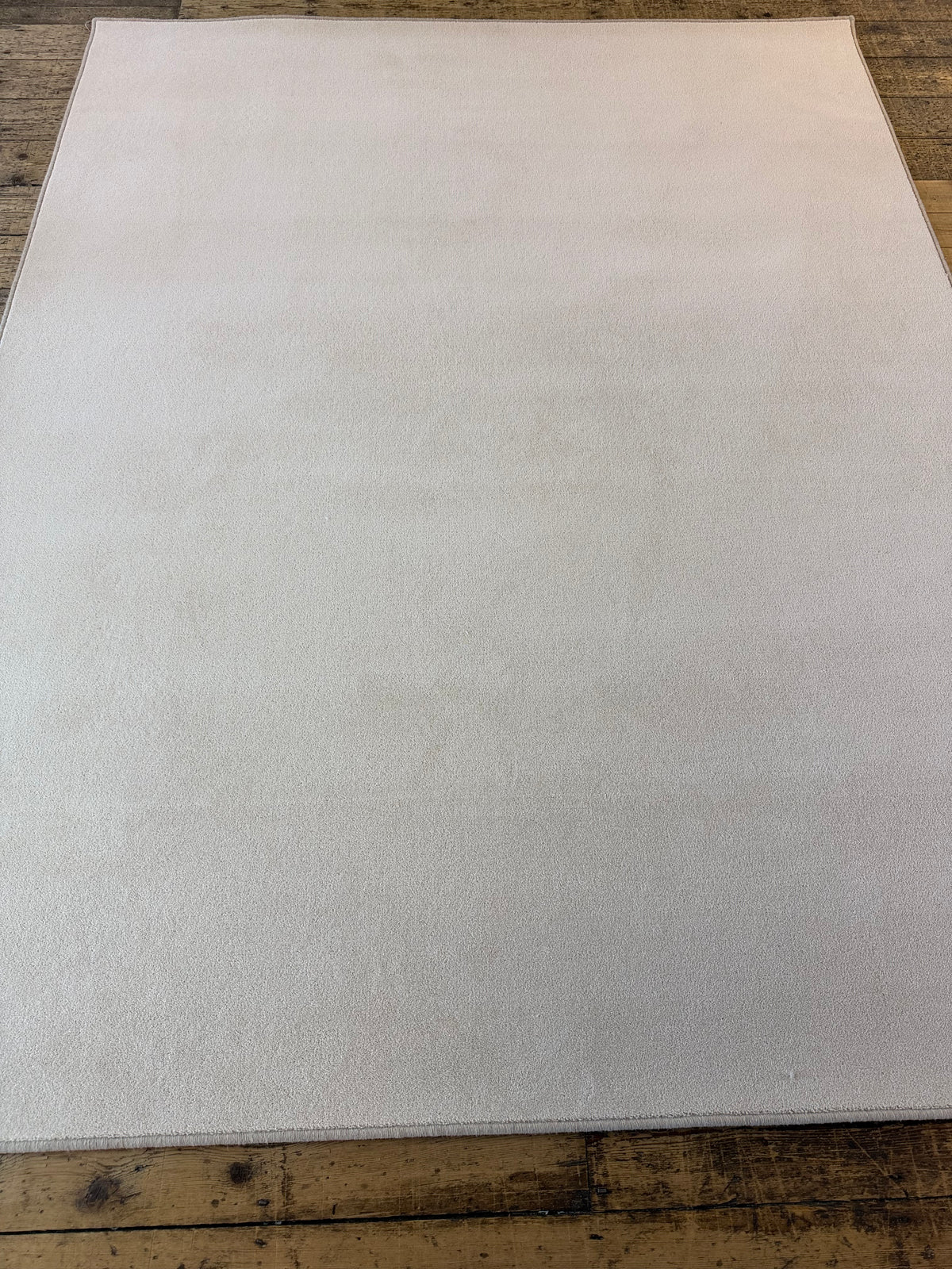 Shell 80/20 wool twist rug 200cm x 247cm