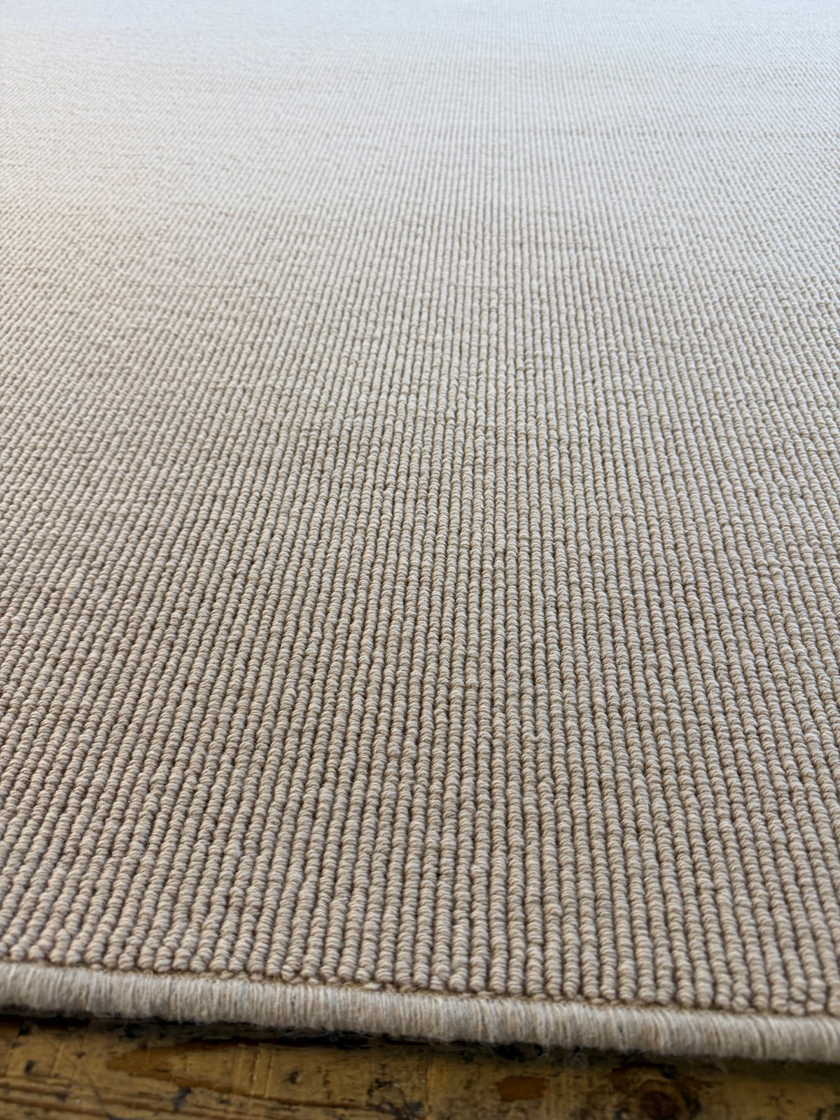 Champagne 100% wool rug 210cm x 300cm