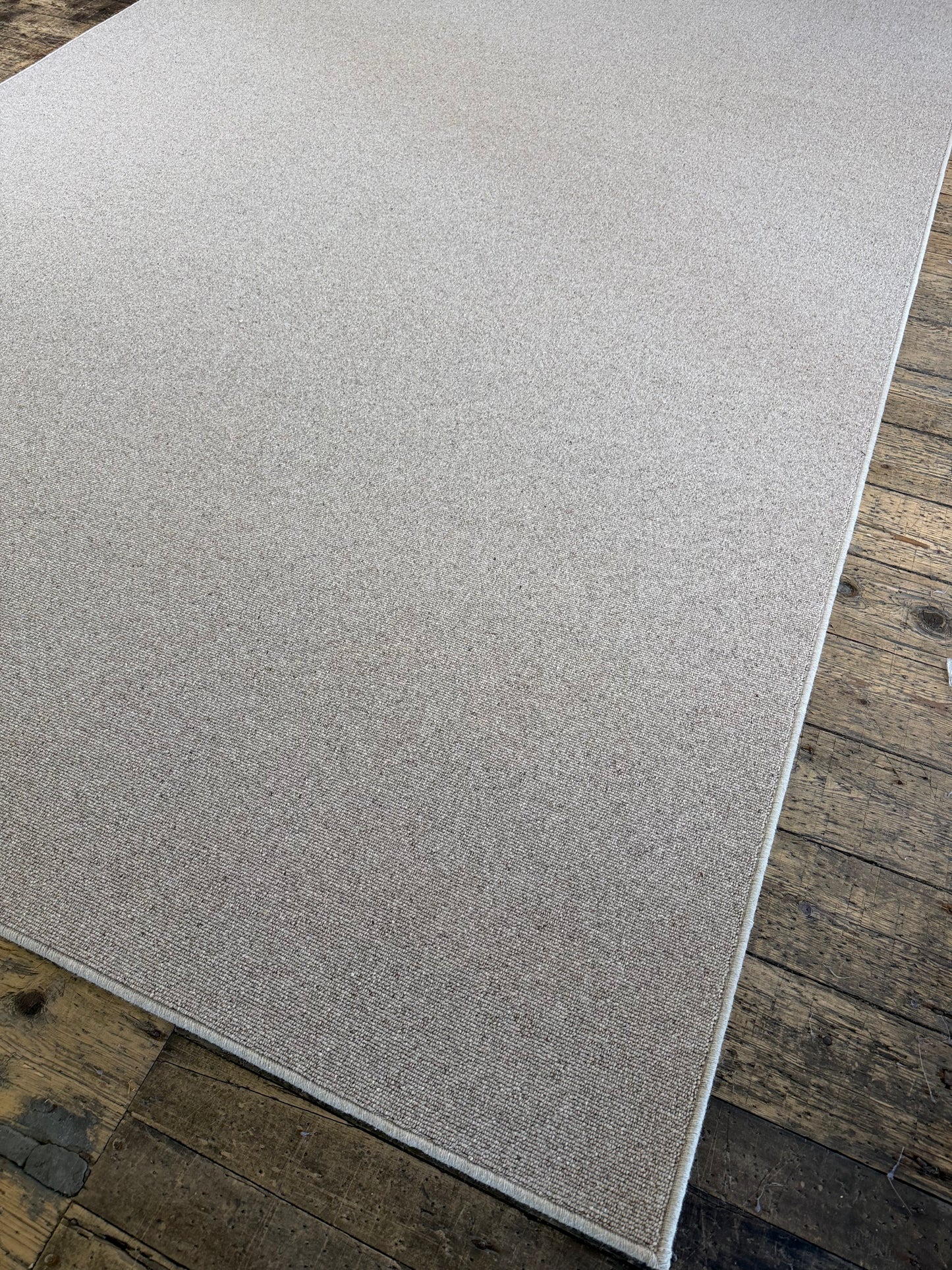 Biscotti 100% wool rug 230cm x 374cm