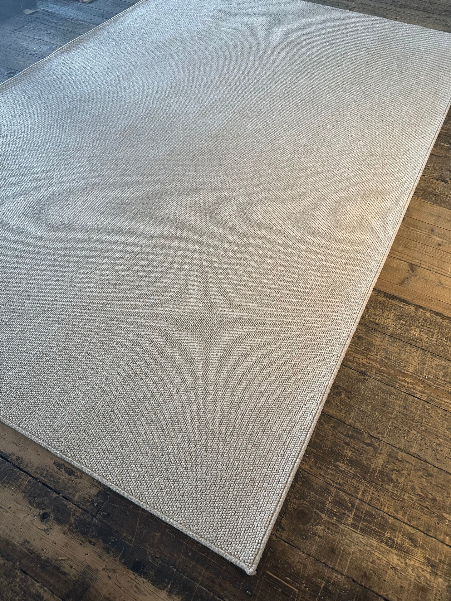 Irish Cream 100% wool rug 200cm x 300cm