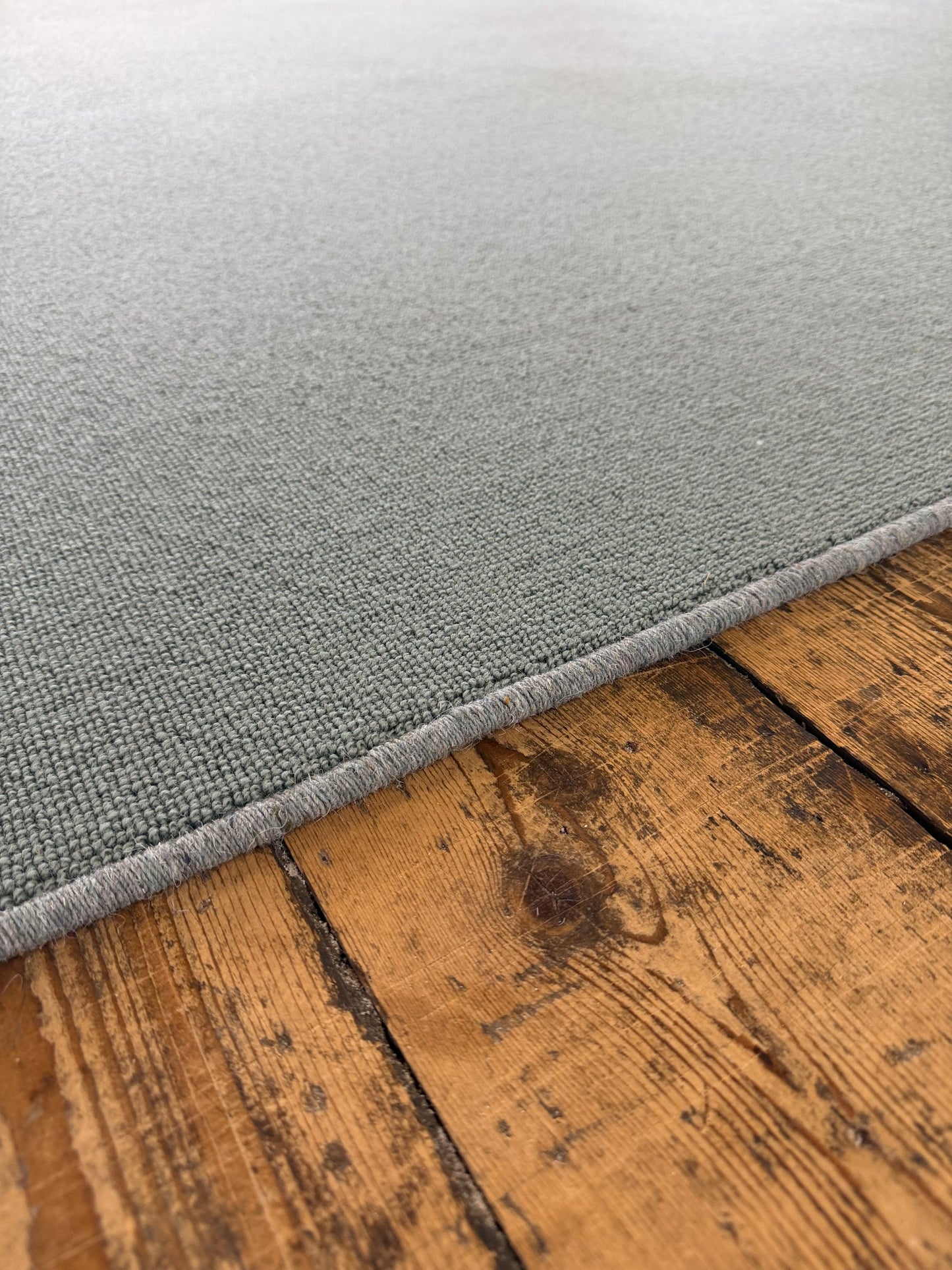 Turtle 100% wool rug 200cm x 270cm