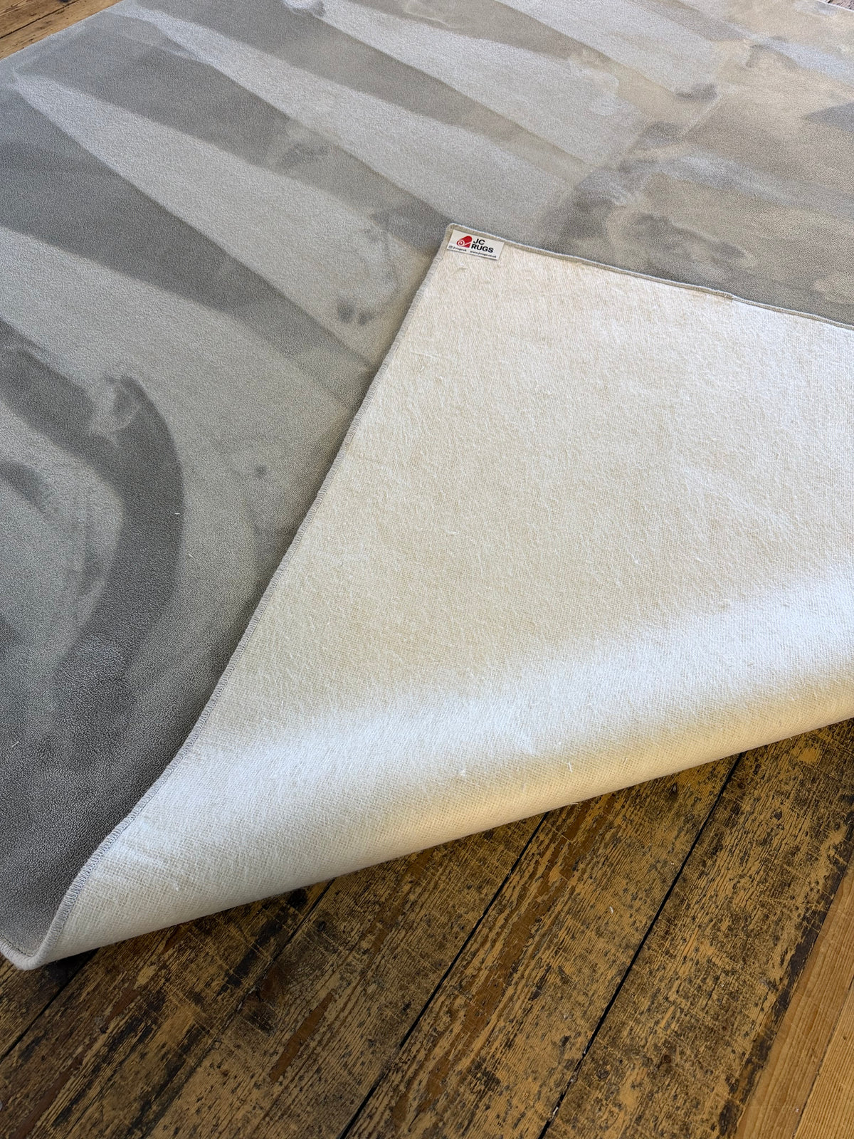 Kensington 100% polypropylene rug 274cm x 299cm