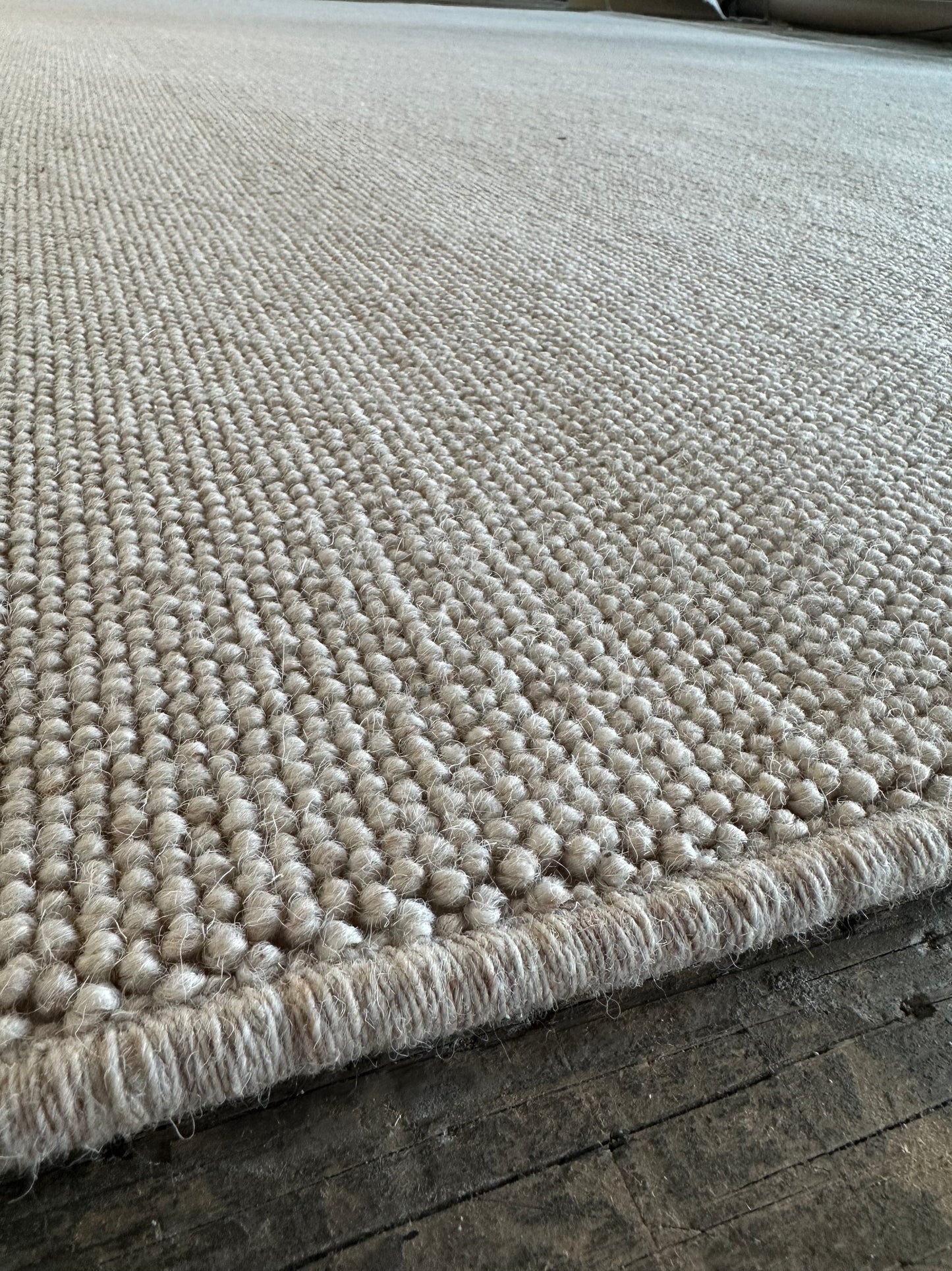 Irish Cream 100% wool rug 200cm x 300cm