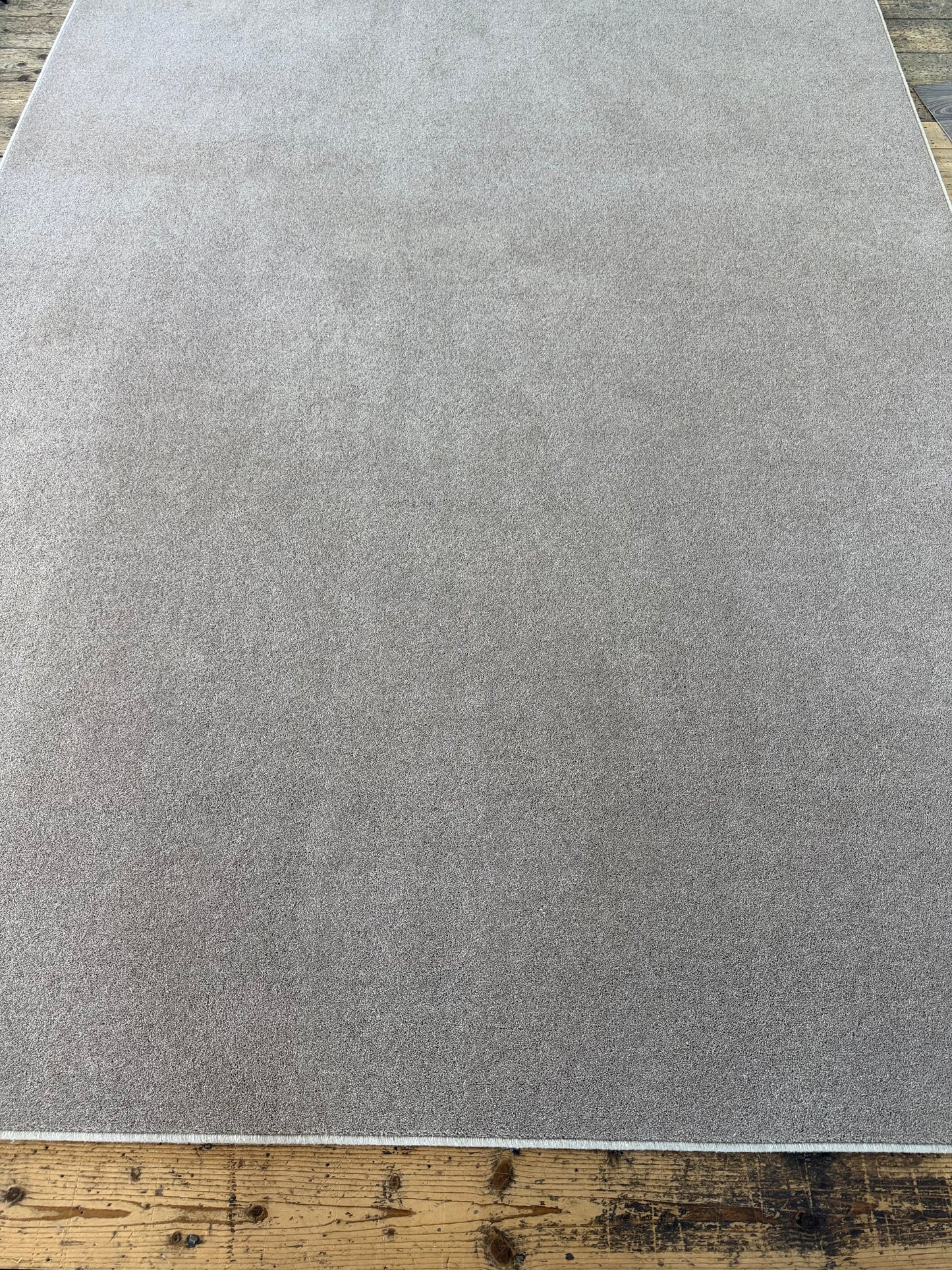 Hickory 80/20 wool rug 236cm x 336cm