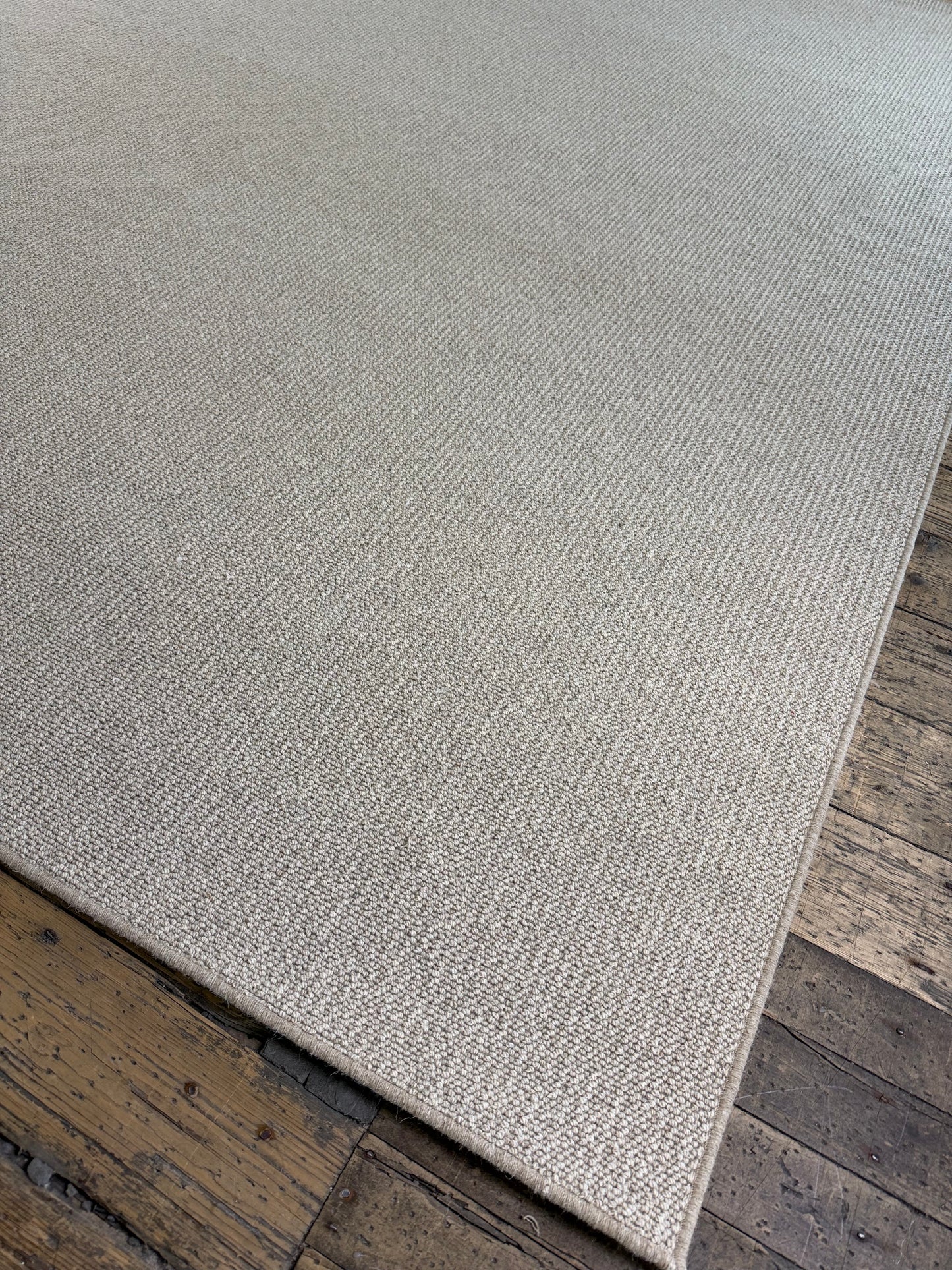 Graze 100% wool rug 250cm x 345cm
