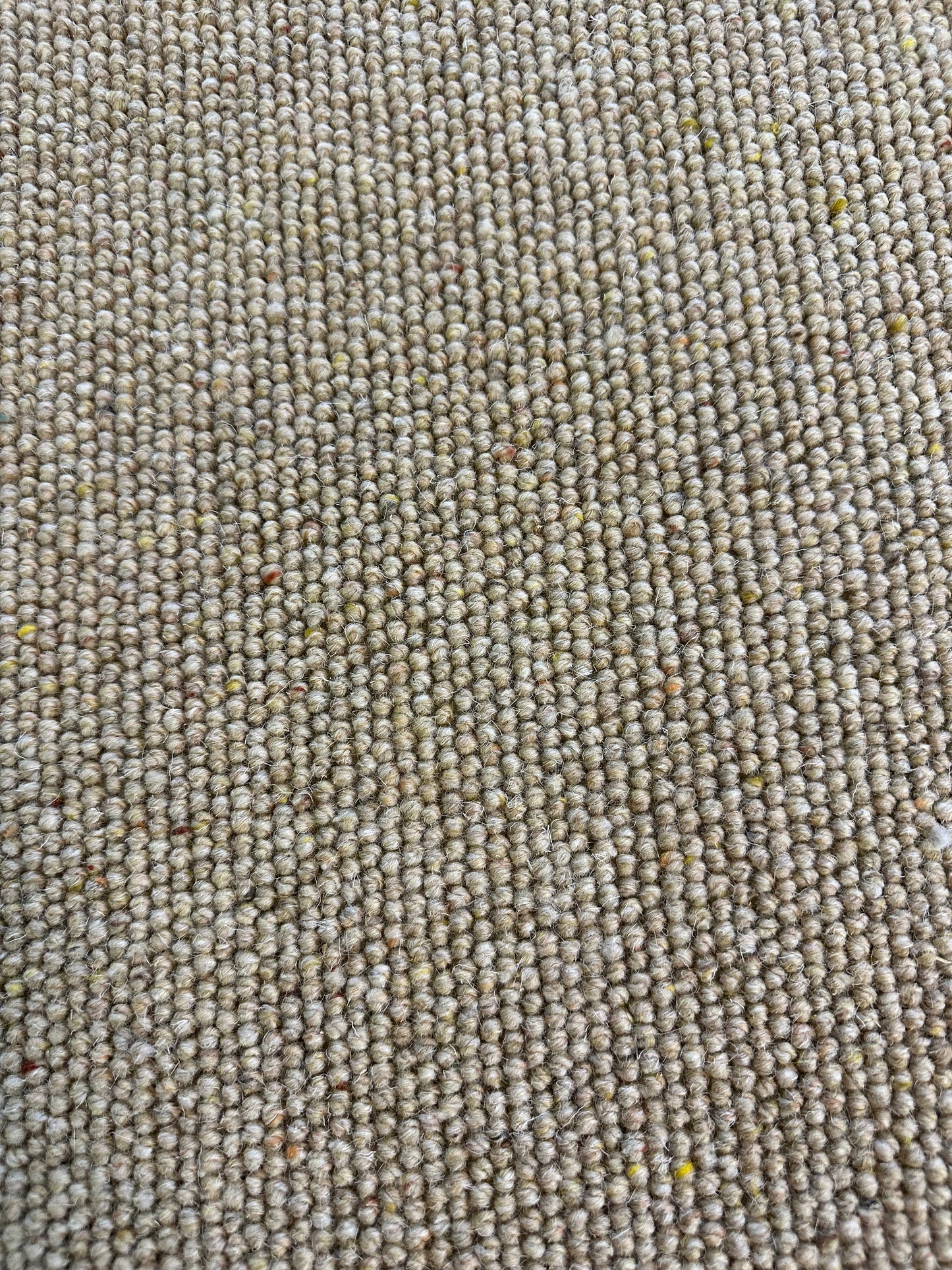 Warm oat 100% wool rug 190cm x 307cm