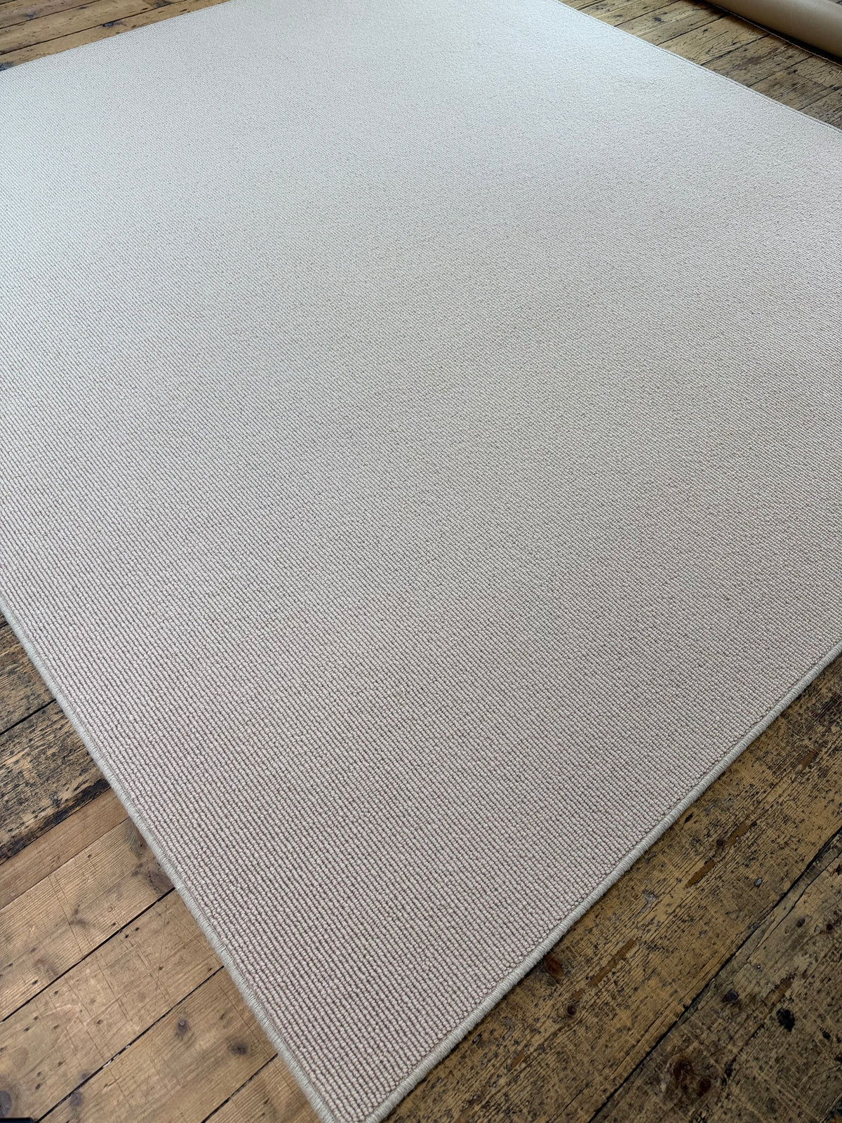 Champagne 100% wool rug 225cm x 256cm