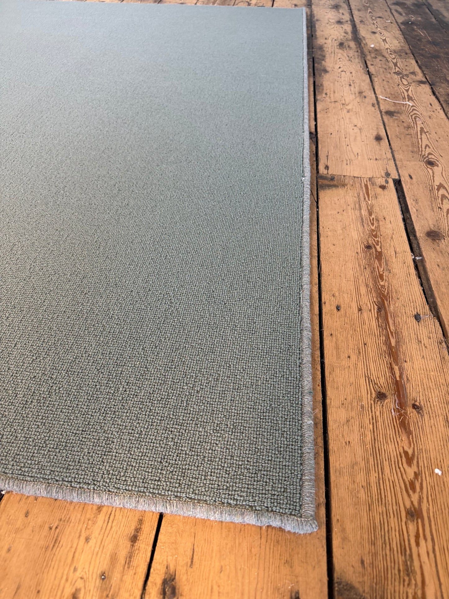 Turtle 100% wool rug 200cm x 270cm