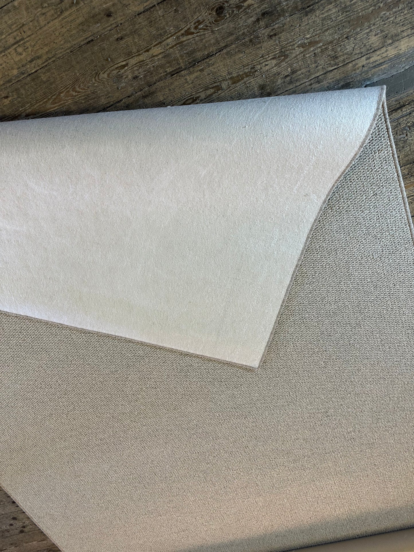 Oatcake 100% wool rug 210cm x 347cm