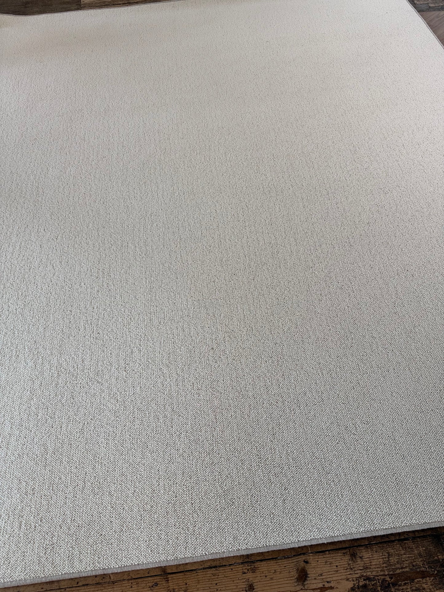 Blanc ivorie 100% wool rug 284cm x 338cm