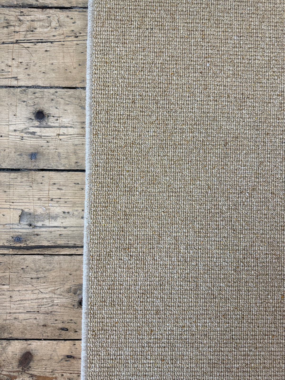 Wild ginger 100% wool rug 273cm x 370cm