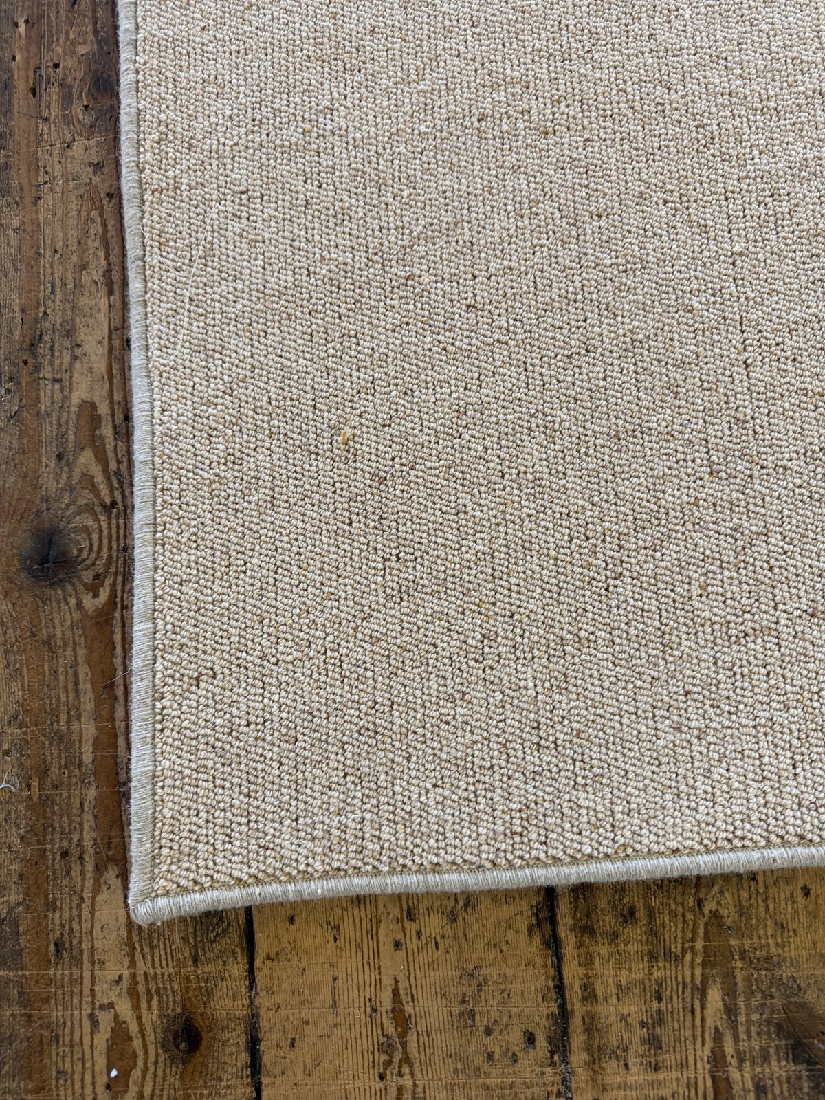 Biscuit 100% wool rug 200cm x 300cm