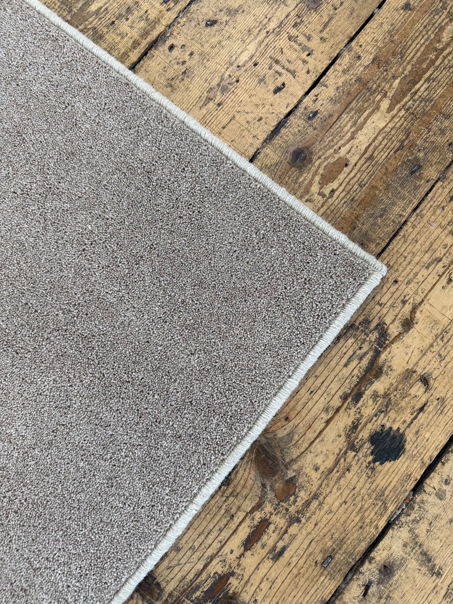 Hickory 80/20 wool rug 236cm x 336cm