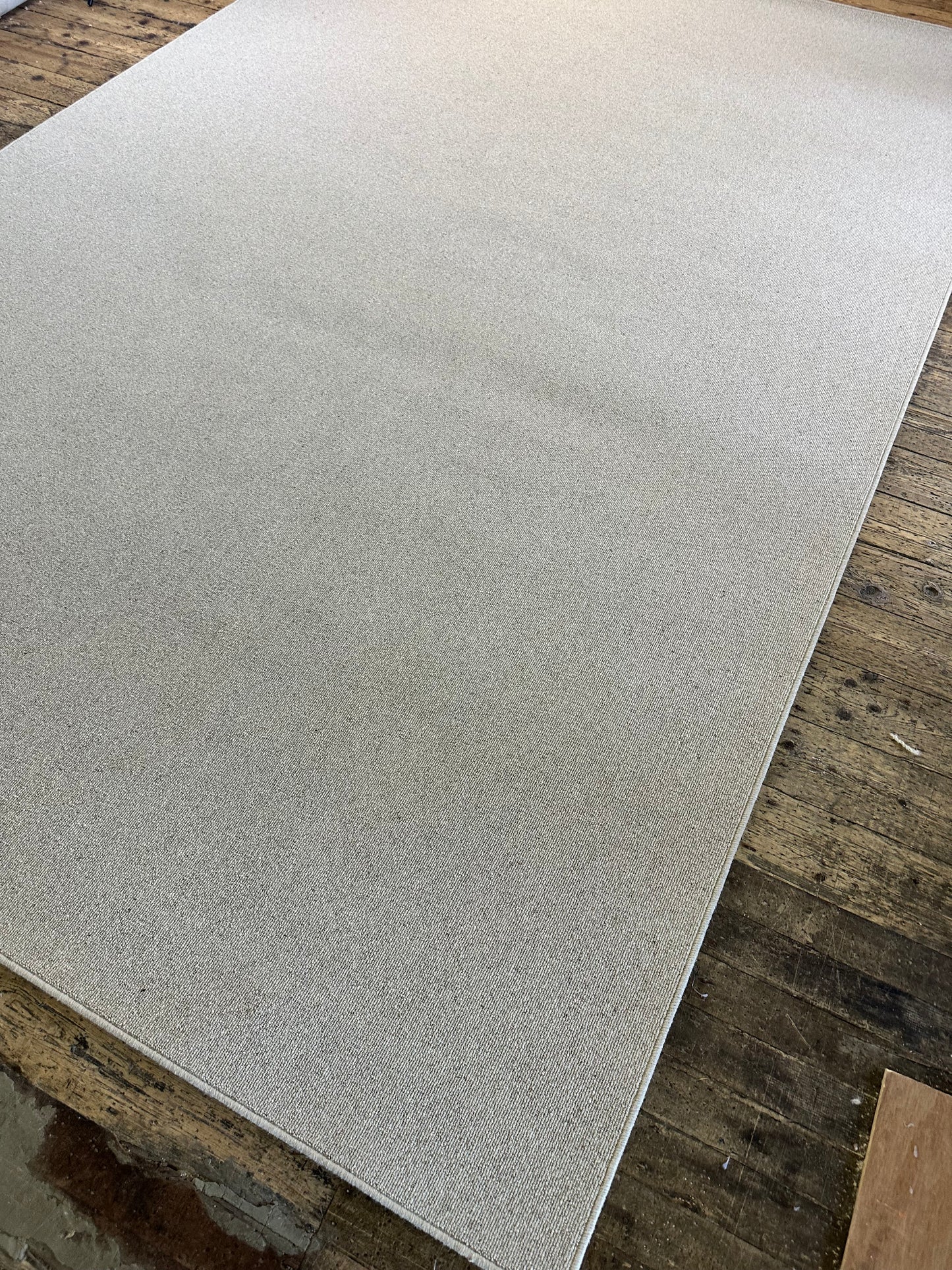 Oatcake 100% wool rug 279cm x 416cm