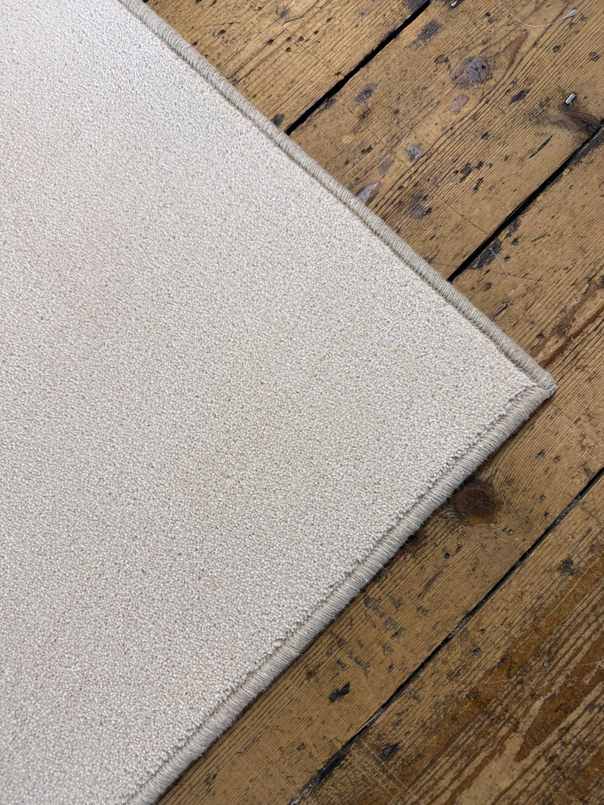 Shell 80/20 wool twist rug 256cm x 300cm