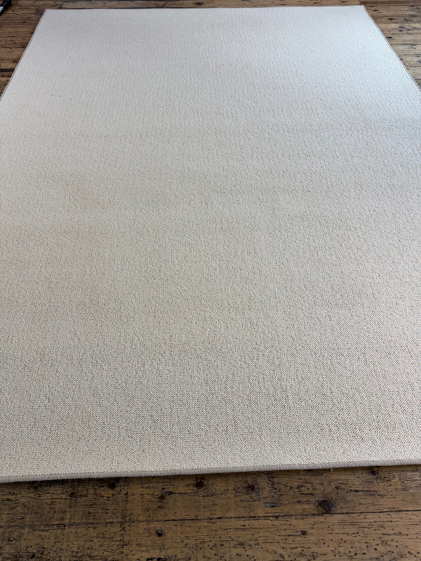 Blanc ivoire 100% wool rug 250cm x 337cm