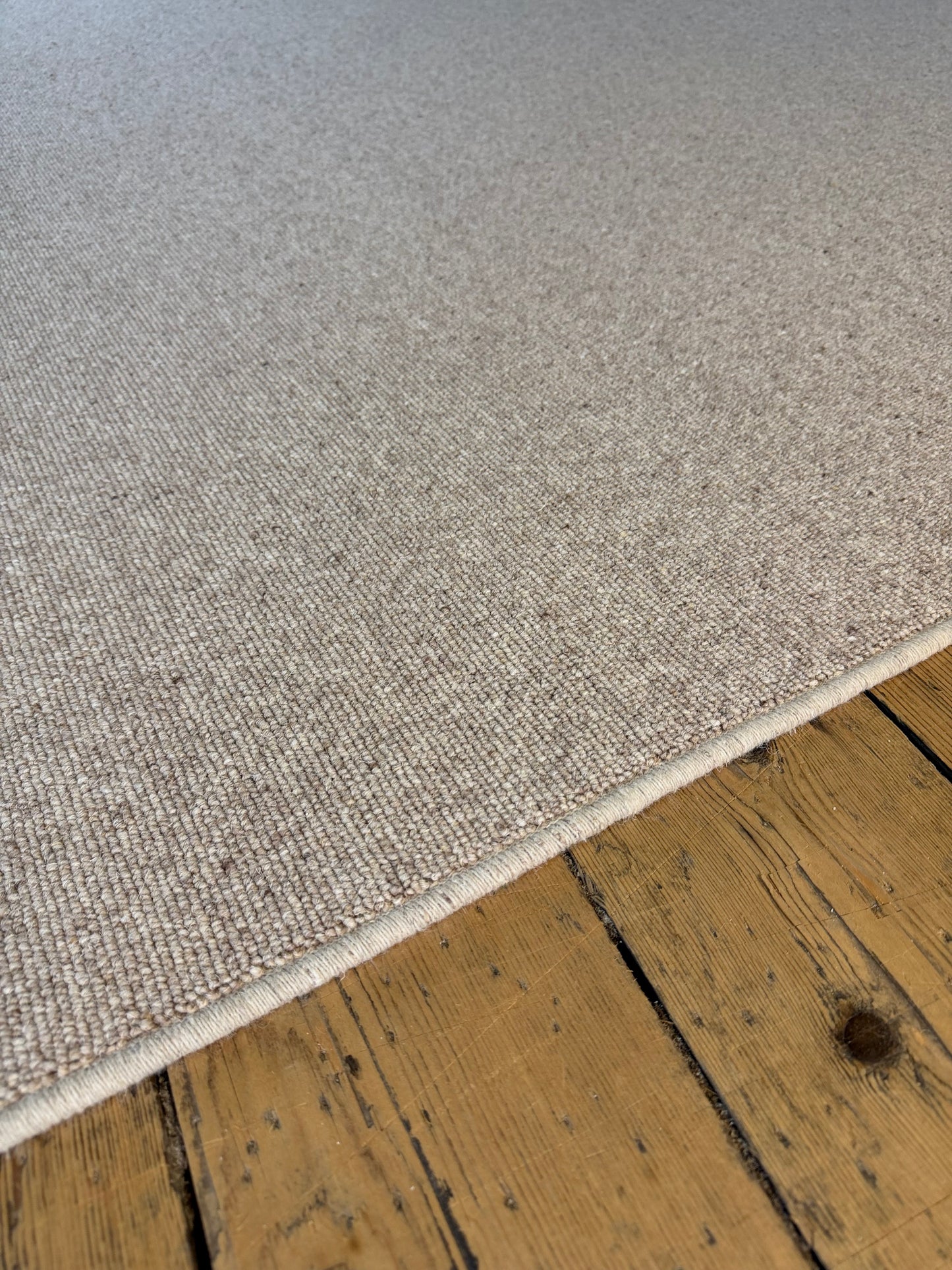 Biscotti 100% wool rug 220cm x 320cm
