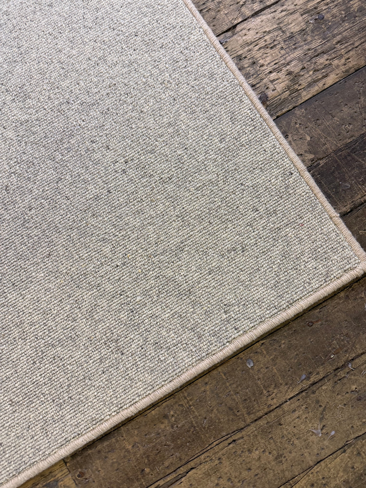Bone 100% wool rug 265cm x 327cm