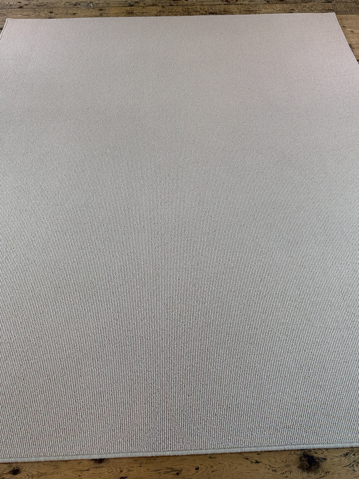 Champagne 100% wool rug 225cm x 256cm