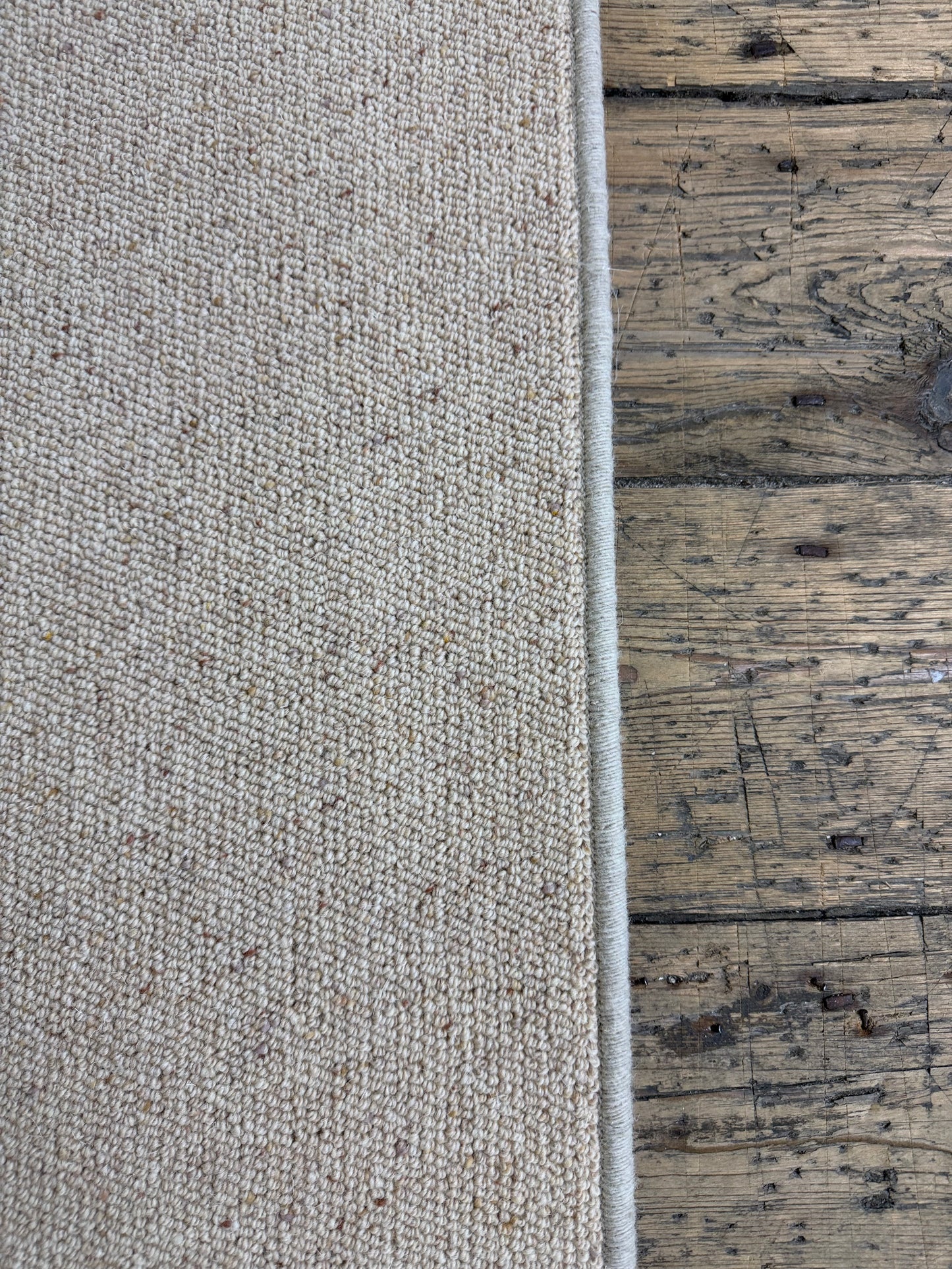 Biscuit 100% wool rug 290cm x 390cm