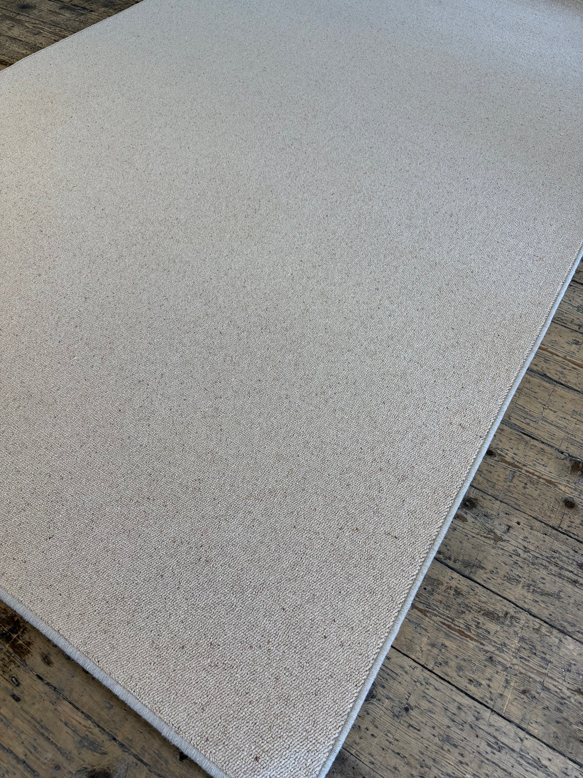 Biscuit 100% wool rug 200cm x 300cm