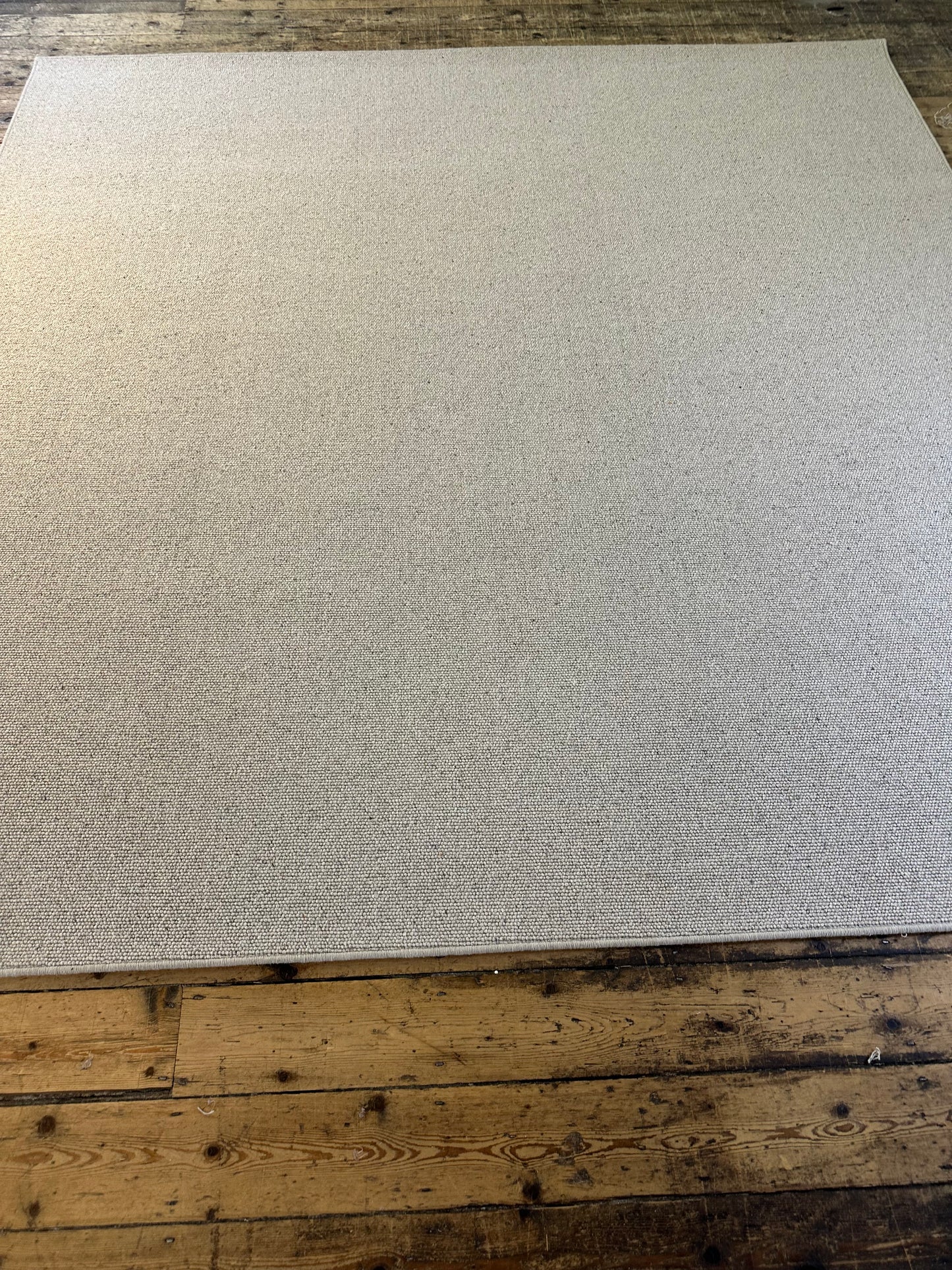 Pumice 100% wool rug 290cm x 296cm
