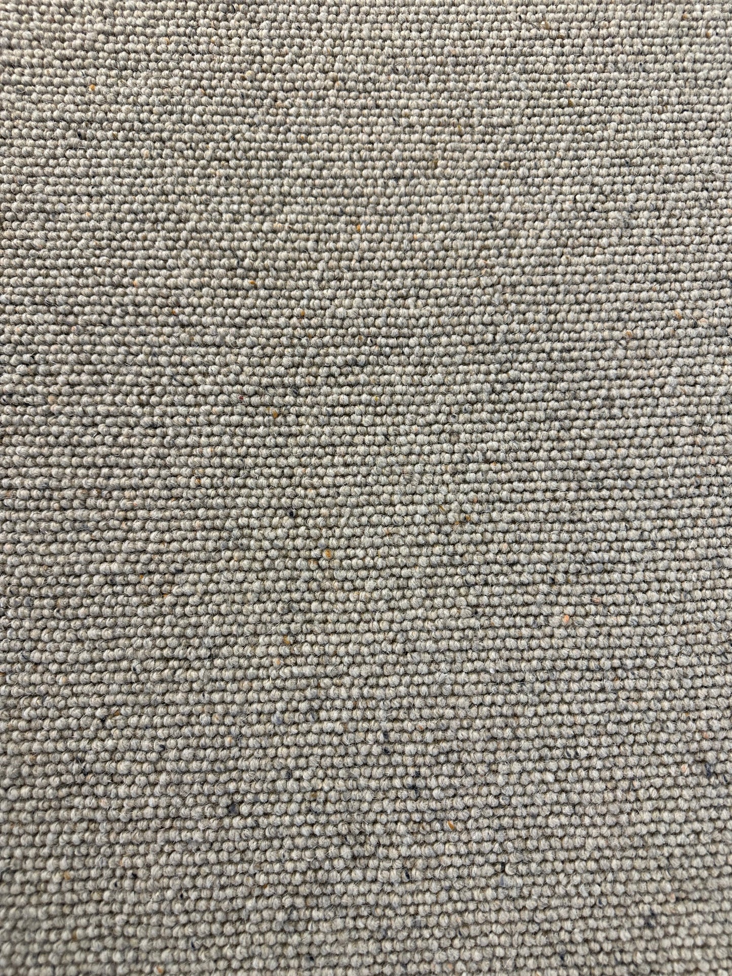 Pumice 100% wool rug 290cm x 296cm